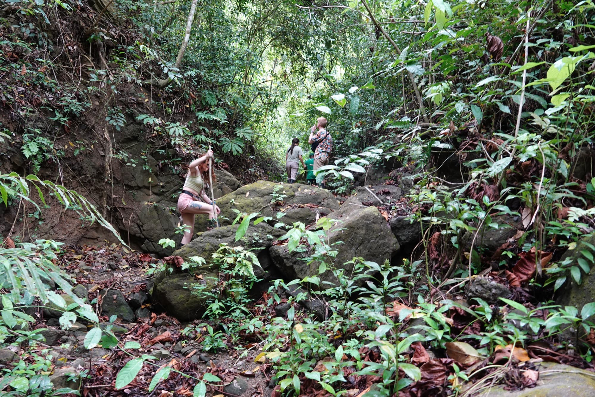 Senderismo en el bosque seco tropical de Los Loros
