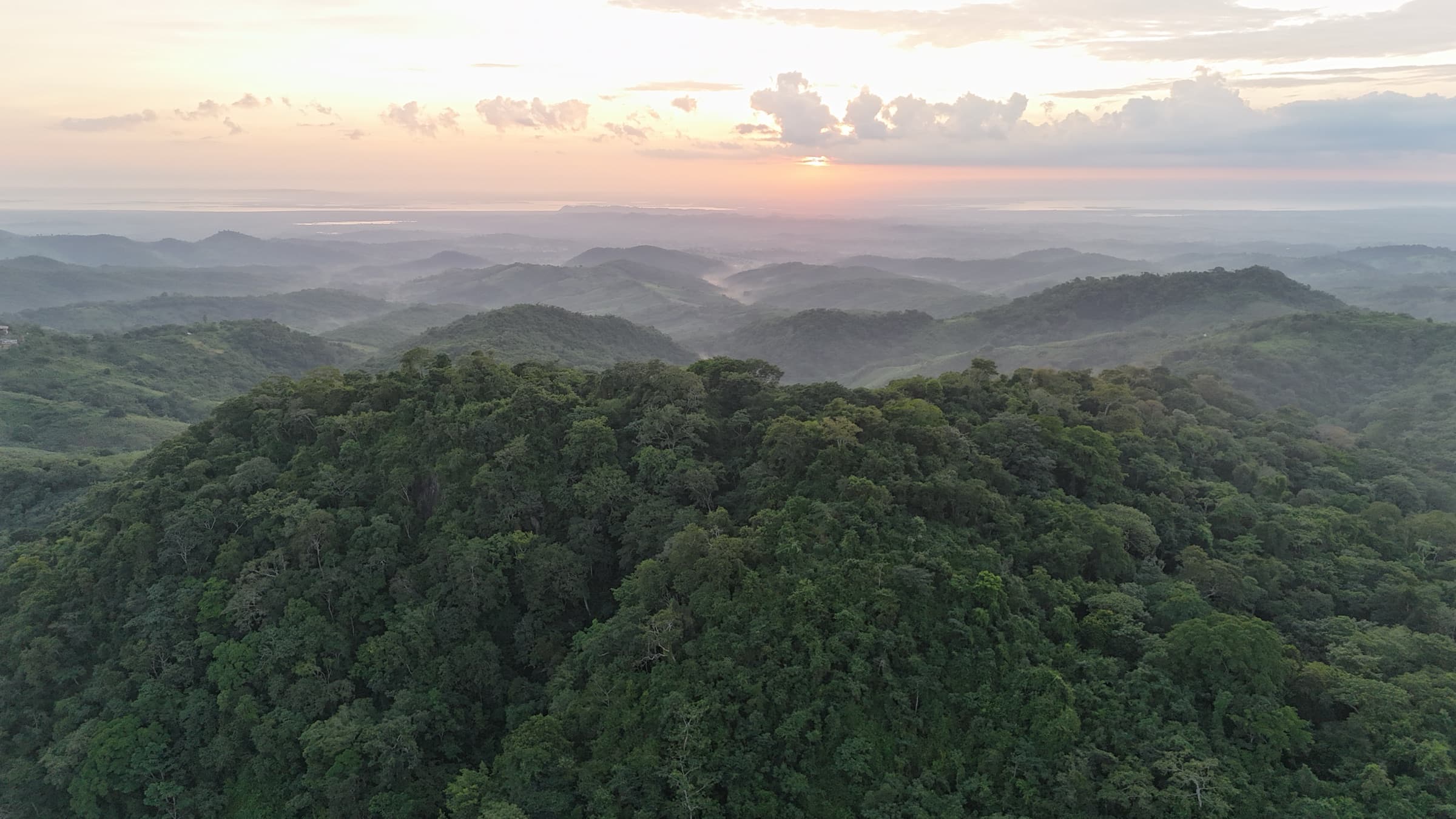 Vista aérea al amanecer del bosque seco tropical de Los Loros con el Caribe al fondo
